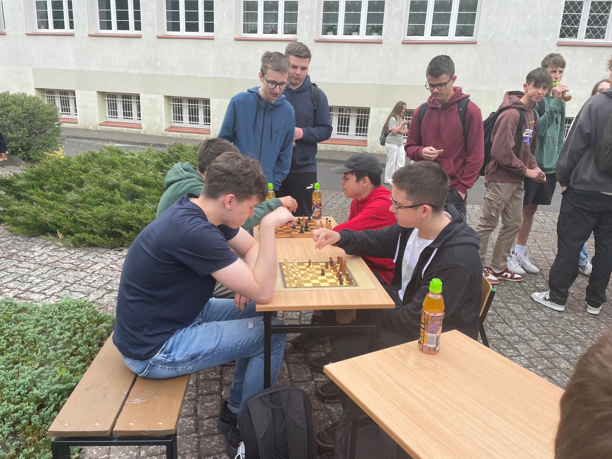 IMG 7962