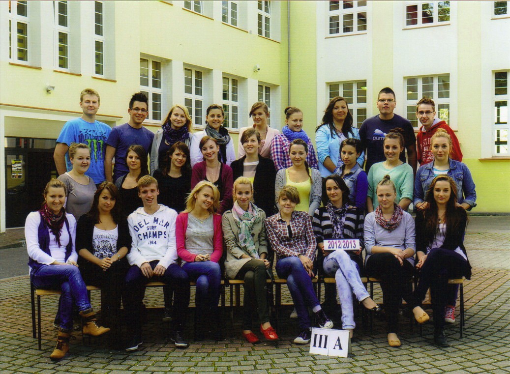 2013_3a 2013_3a