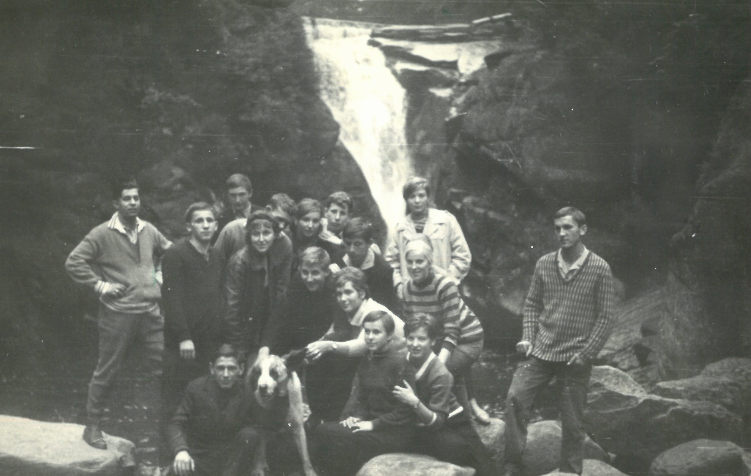 rocznik 1964