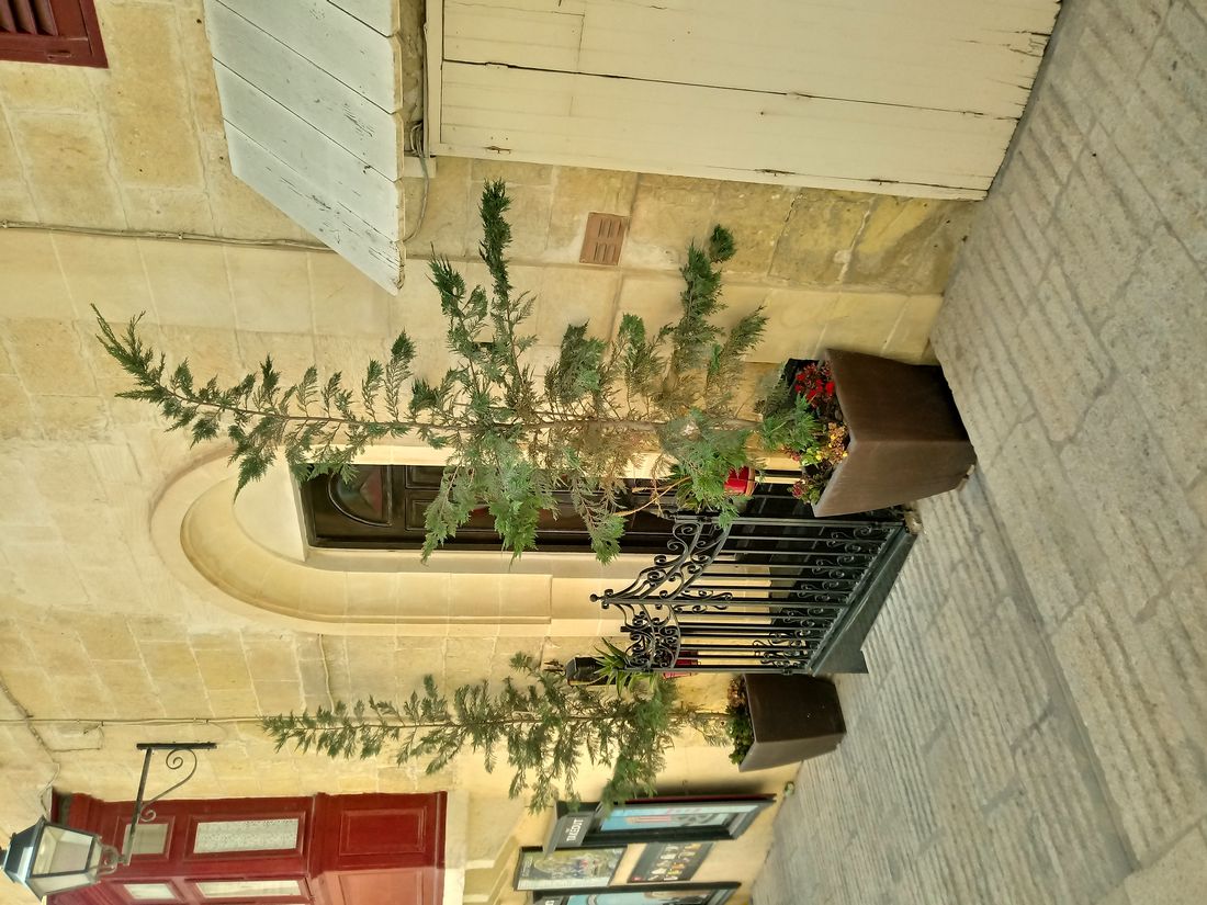Malta 2022