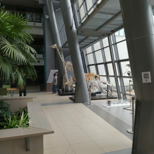 2022 salon maturzystów