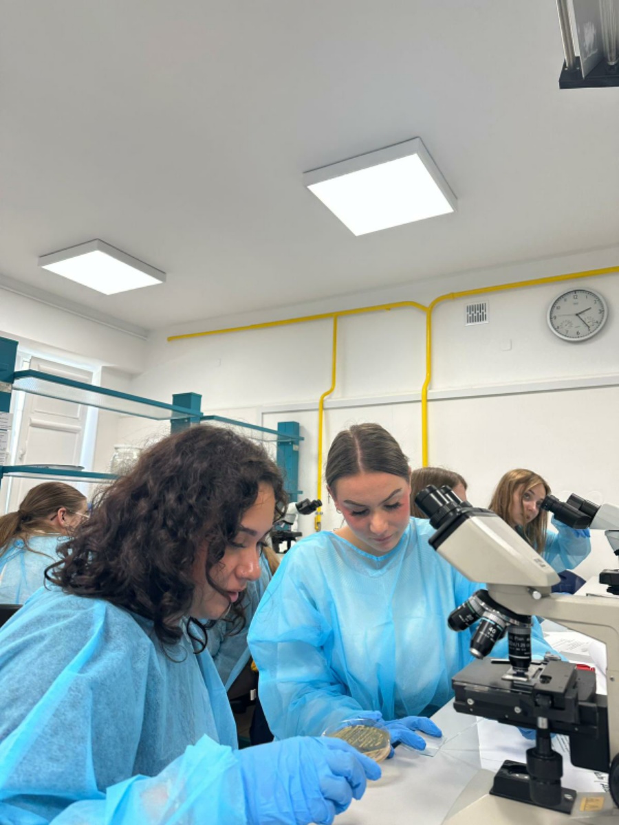 Warsztaty w Collegium Medicum w Bydgoszczy