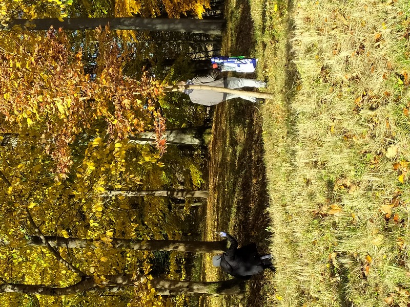 sprzątanie świata