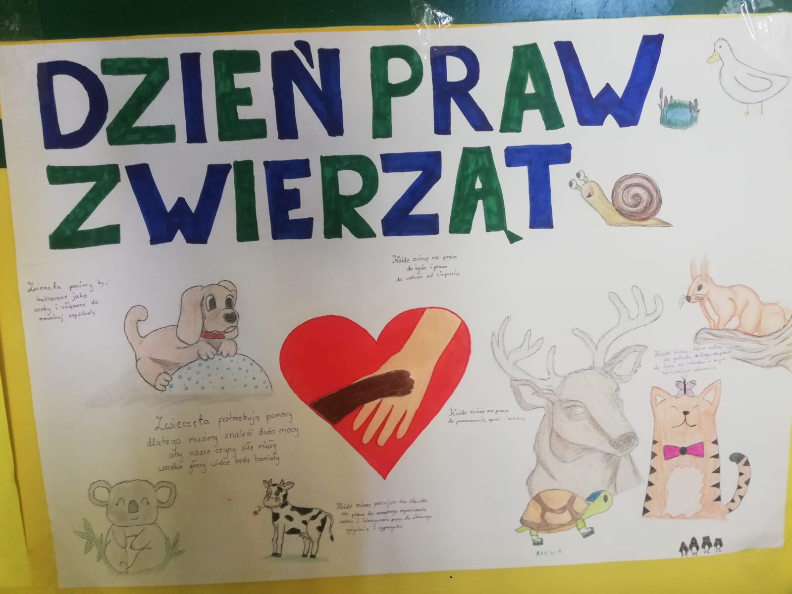 Dzień zwierząt
