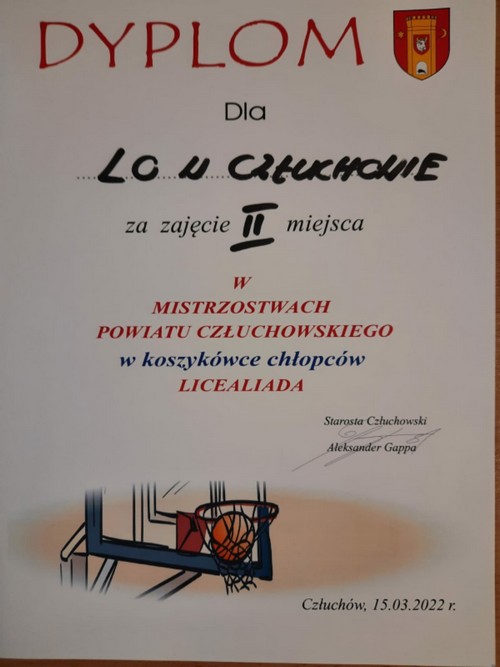 Piłka koszykowa chłopc&oacute;w