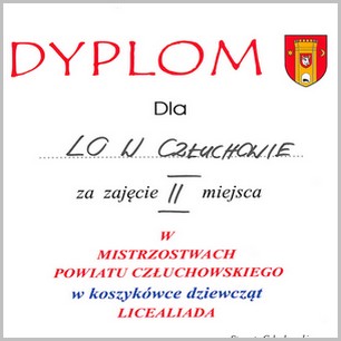 Piłka Koszykowa Dziewcząt