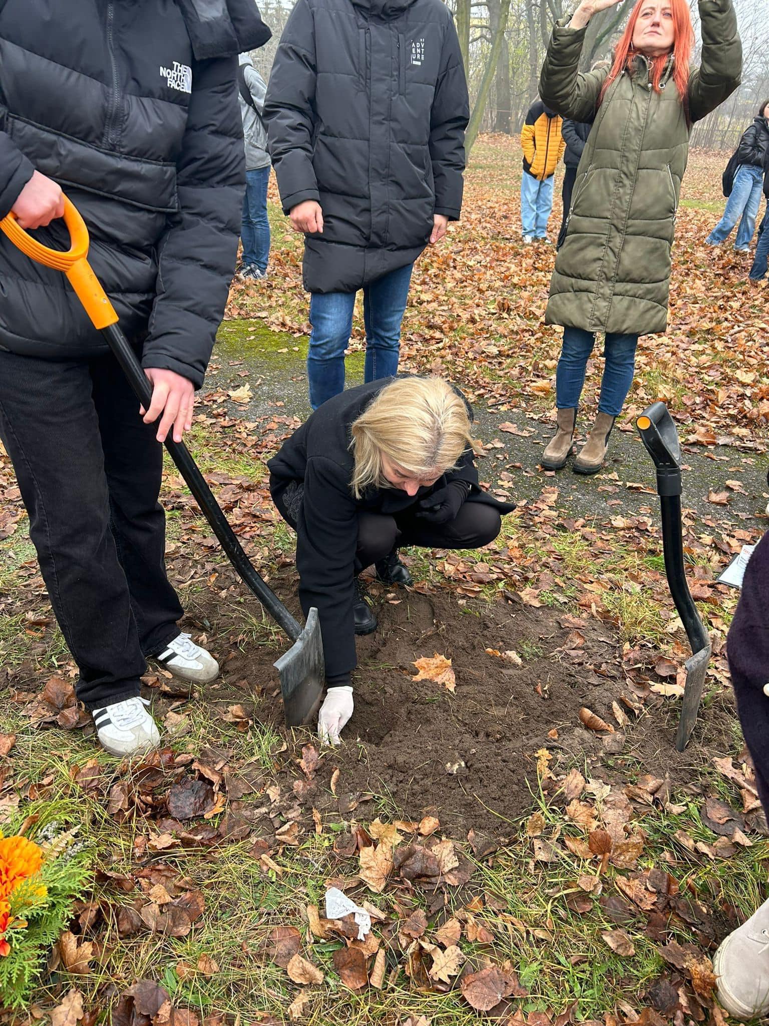 Akcja Krokus