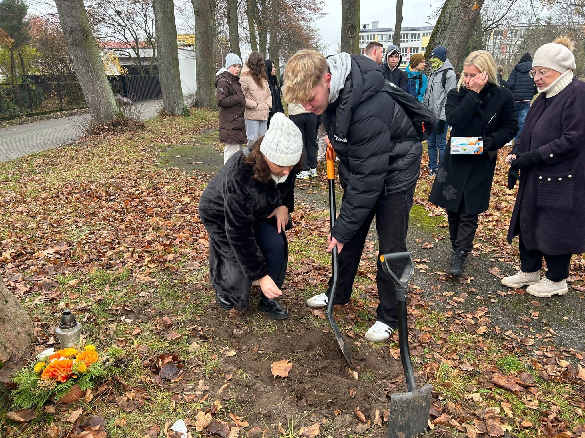 Akcja Krokus
