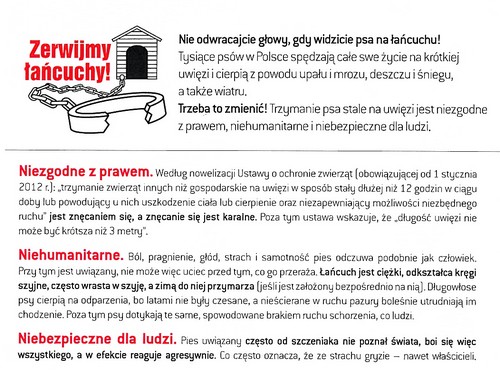 lancuchy1