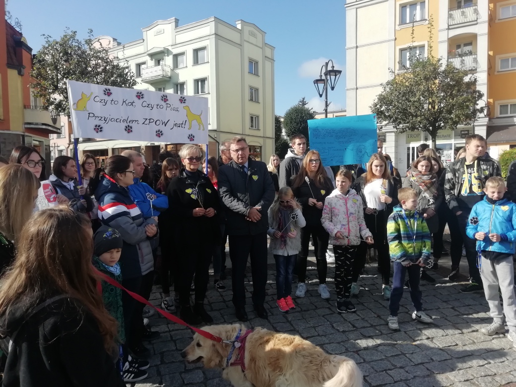 lancuchy 2019 1