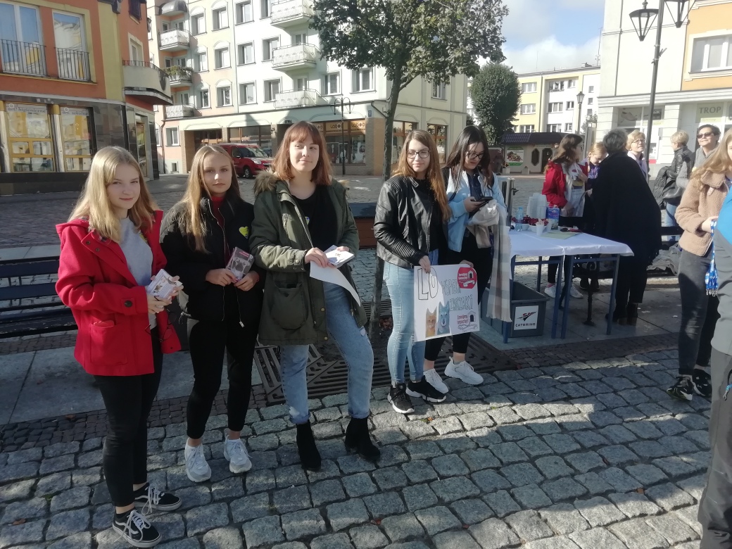 lancuchy 2019 1