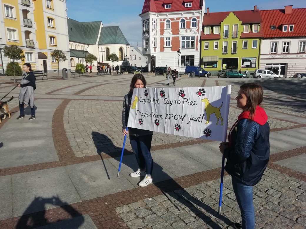 lancuchy 2019 1