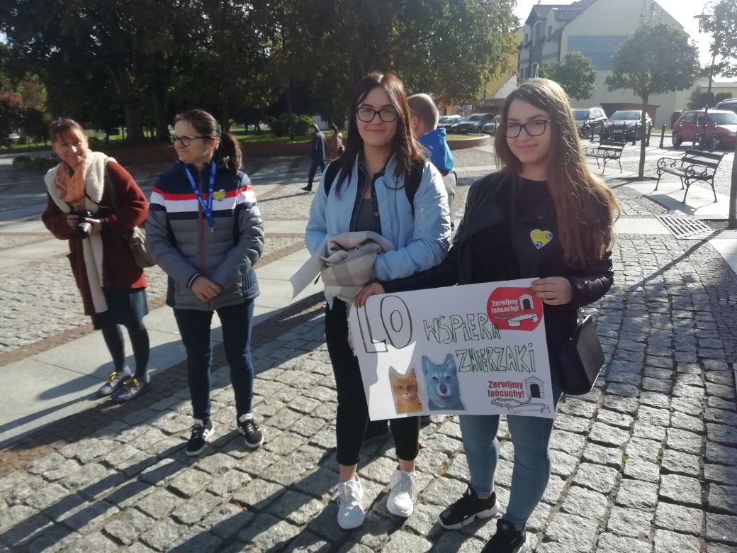 lancuchy 2019 1