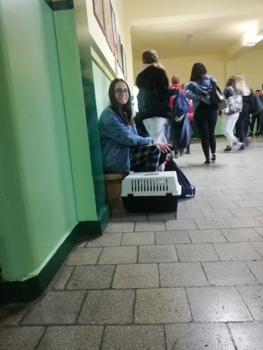 dzień bez plecaka 