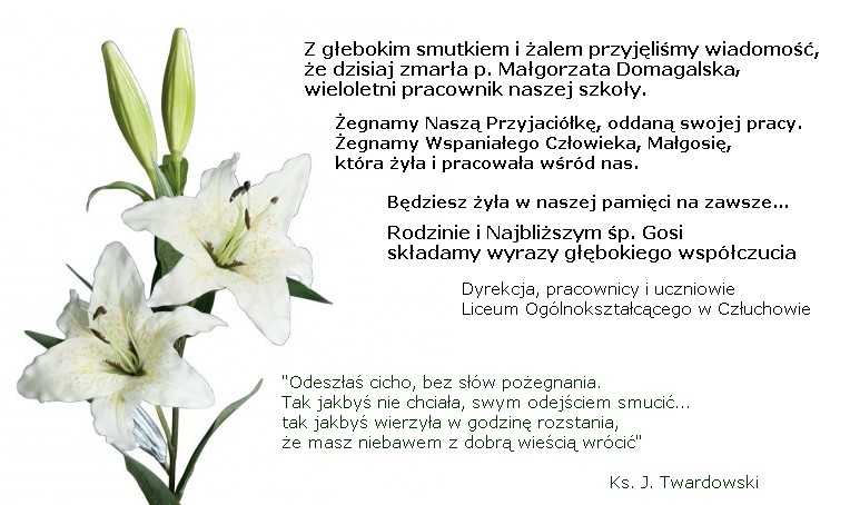 zalem