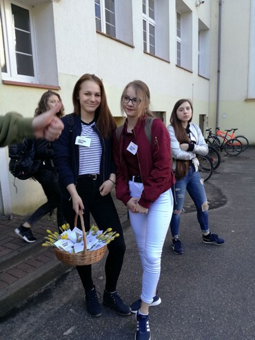 zonkil 2018 1