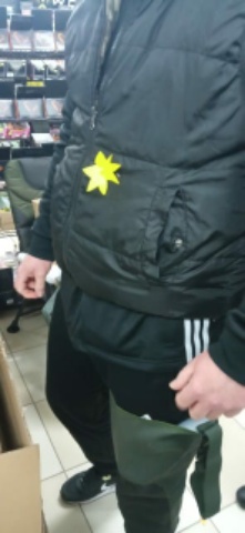Akcja Żonkil