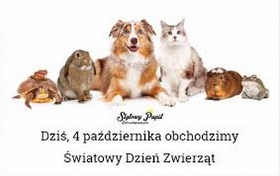 zwierzeta