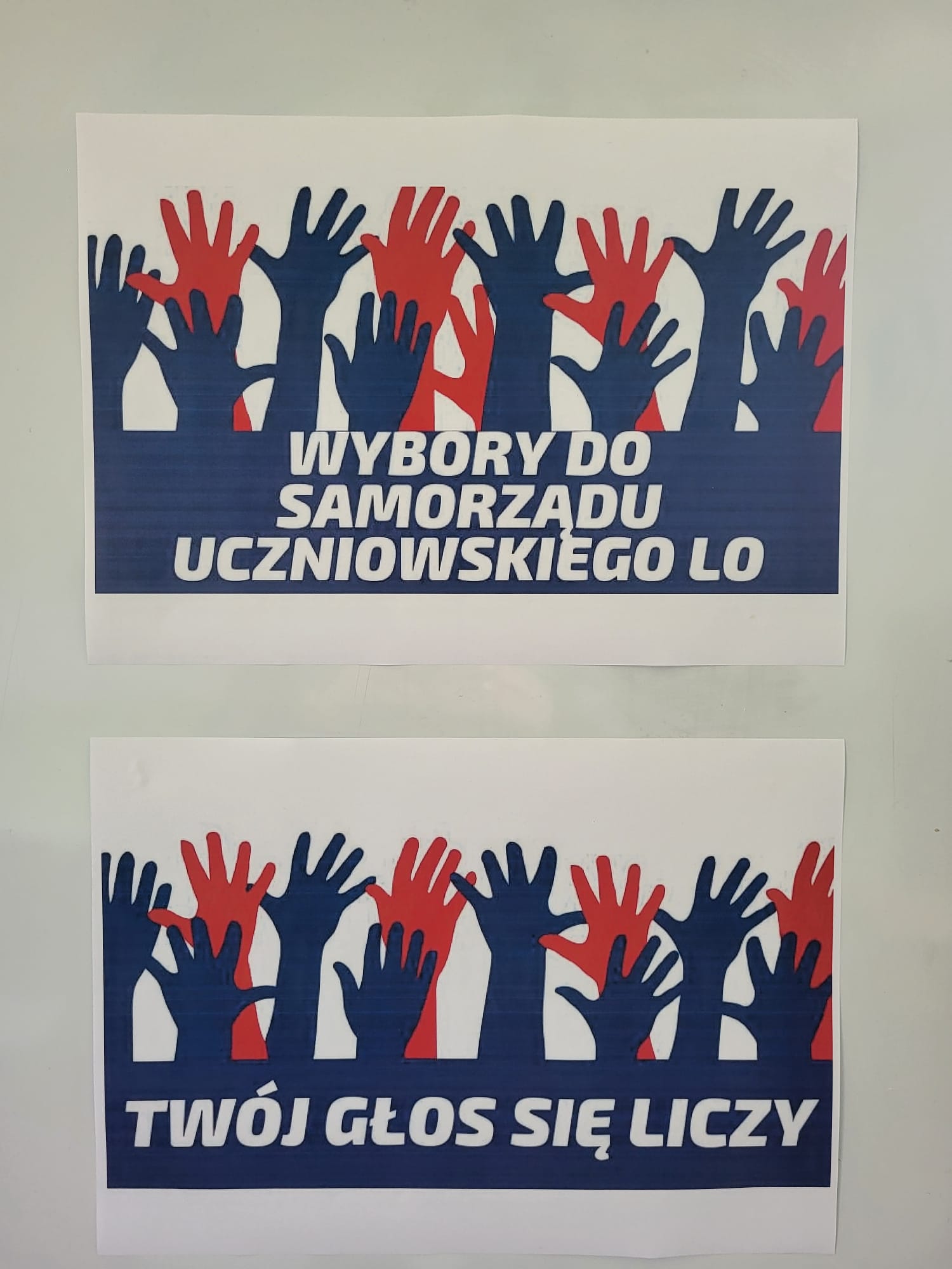 wybory SU 
