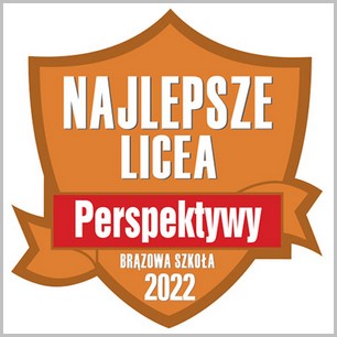 Brązowa tarcza